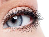 Prodlužování spodních řas Prodlužování spodních řas