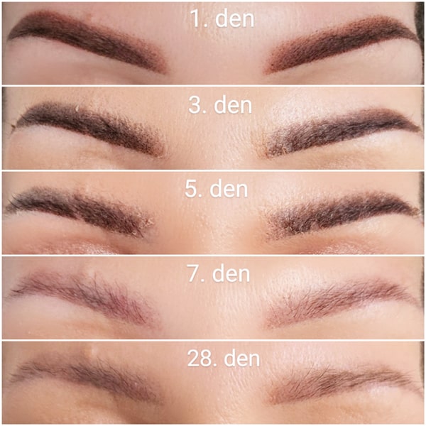 Permanentní make-up - obočí - průběh hojení Permanentní make-up obočí - průběh hojení